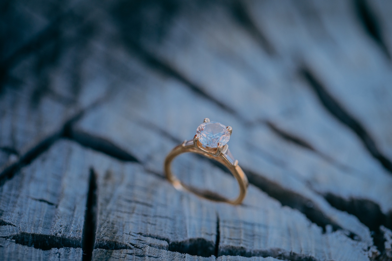 Casey & Alegría Engagement Photo