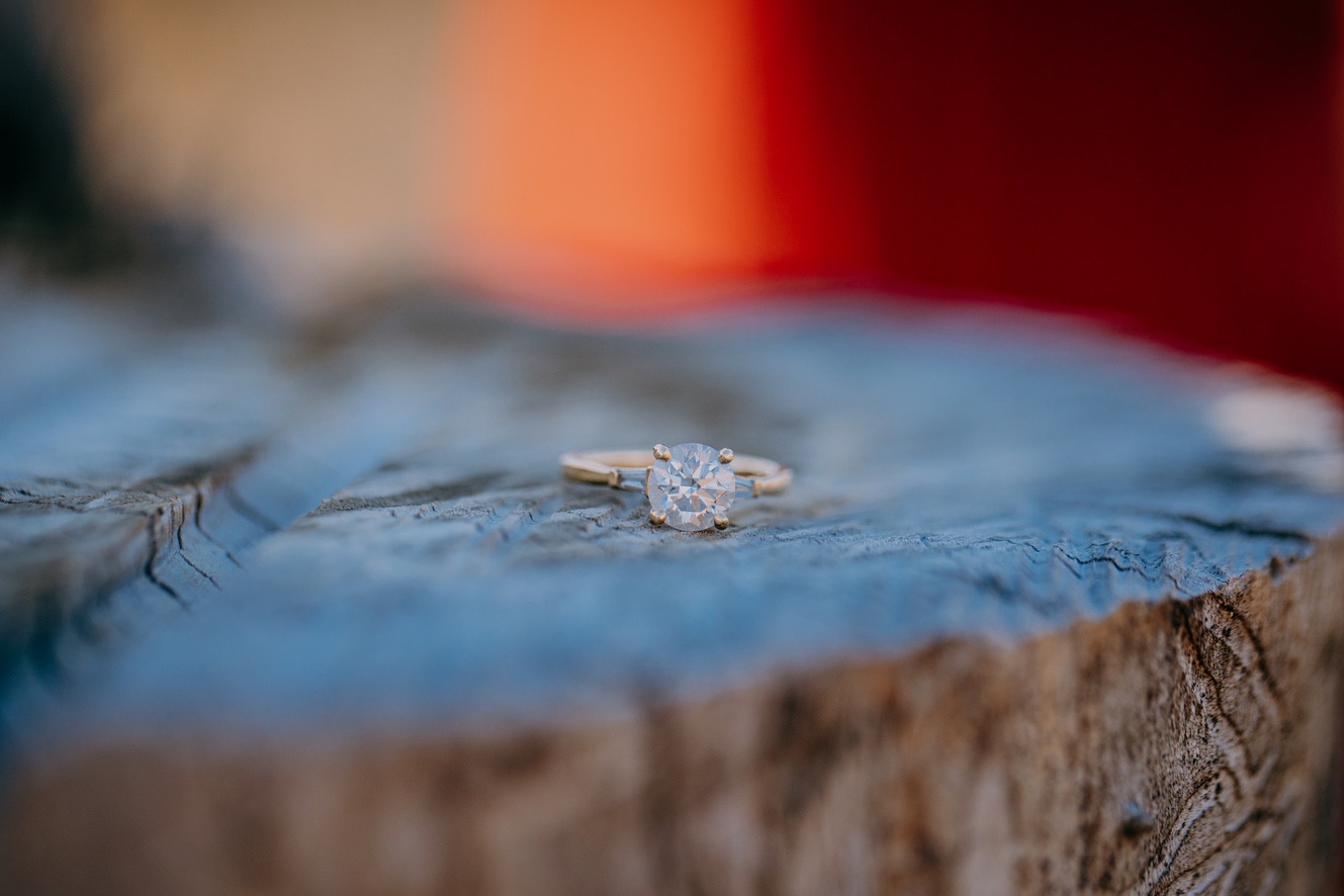 Casey & Alegría Engagement Photo